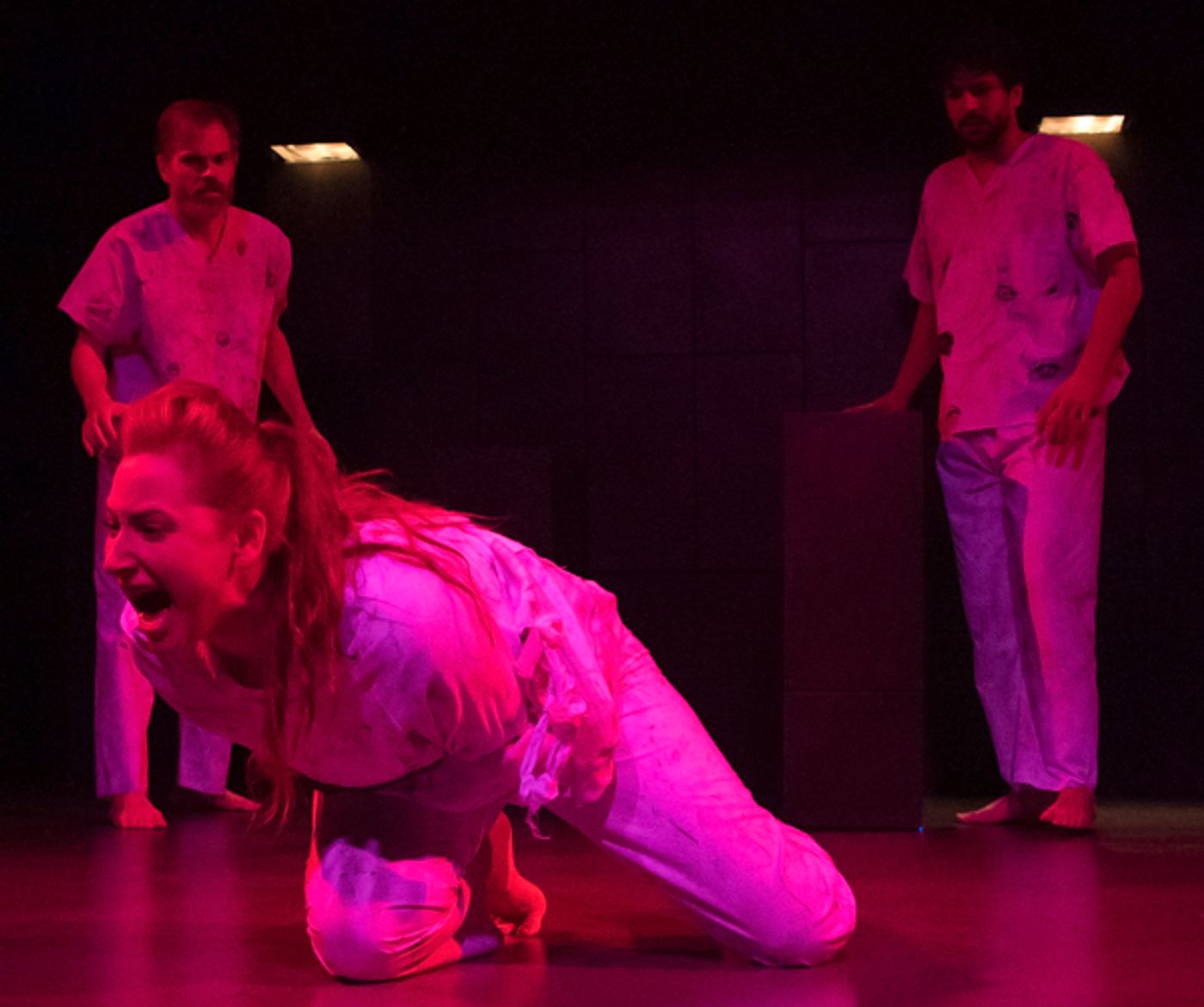 Photo Flash: Firehouse Theatre Presents SONGS FROM BEDLAM Photo Flash: Firehouse Theatre Presents SONGS FROM BEDLAM Image